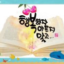 중년의 가슴에 8월이 오면 ~ 이채 이미지