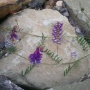 낙동강변로3-3 이미지