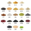 백구PC | [곡물그대로21 크리스피롤] 아이 간식, 직장인 아침으로 찐 추천템