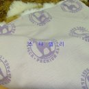 수선과 세탁 이미지