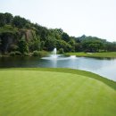 자유컨트리클럽 이미지