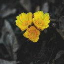 찬물내기 이미지