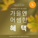 다래헤어아트