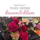 바움앤블룸 | 판교꽃집, 바움앤블룸 판교 감성 꽃집에서 찾은 엄마 생신 선물, 마음까지 따뜻해진 하루