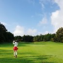 호텔자유2 이미지