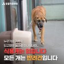 금지농장 이미지