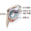 춘양삼성의원 이미지