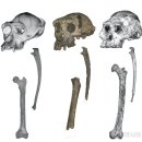 (주)대영통신 이미지