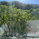 상림목장 이미지