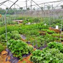 우종은농장 이미지