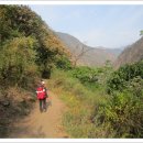 네팔 히말라야 코사인쿤드-랑탕계곡-체르고리 69 이미지