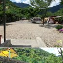 천태산 오토캠핑장 이미지