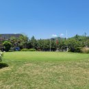 파인필드골프연습장 이미지