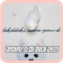아이러그유 이미지