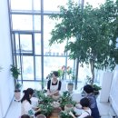 (원데이) 그린 플랜트 이미지