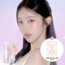 치크 쇼핑하우