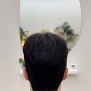 코코댄디