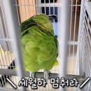 순창 앵무새팜 이미지