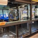 양평민물장어 이미지