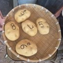 씨유용인대로점 | 세훈네옹심이칼국수 수지구청 맛집 용인 맛집 옹심이 콩국수 감자전 추천