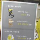 컬리수;모이몰른 이미지