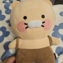 주부슈퍼 | 프라이빗한 1인 강릉왁싱샵 '여기는 뷰티샵'