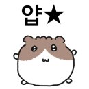 제이엠메디칼 이미지