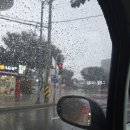 삼색보리샤브 | 충주시청맛집 연수옥 샤브칼국수 삼색나물채소보리밥 무료 제공