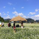 봉평약국 이미지