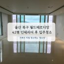 대로3-42 | 울산 북구 월드메르디앙 42평 인테리어 후 입주청소 후기(청소리)