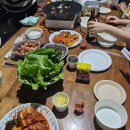 행복하개 | 연천 애견동반 독채펜션 행복하개 1호점 후기🐶 독채펜션, 잔디밭, 수영장