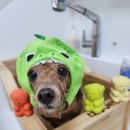 보리미용실 이미지