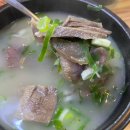 중앙베스트잡