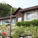 다래하우스펜션 이미지