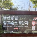 [용산미군부대개방] 미군반환부지 장교숙소 주말방문 후기