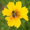 천마산조각공원 이미지