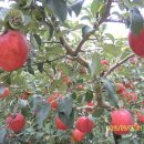 용연리마을회관 이미지