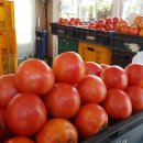 음봉할머니집, 원조음봉할머니집 이미지