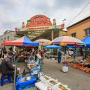 봉화여자중·고등학교 이미지