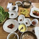 벽오동화순점 이미지