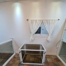 세상 편하개 이미지