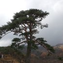 산내면 반선마을 이미지