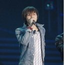 스타일리쉬(stylish) 이미지