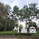 자전거체험학습장 | [서울] 5월 연휴 가족 나들이 추천 – 서울숲 자연체험 후기