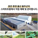 주식회사 굿프렌즈 이미지