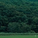 #관악구 장애인단체 연합회
