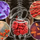 참약사 대장약국 이미지