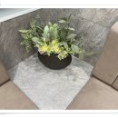 더베스트한의원 이미지