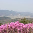고려산 이미지