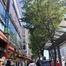 둔촌대로 127번길 | [성남] 무신론자의 소름돋는 신점 후기 | 무당백산 신점 사주